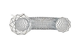 Stent kim loại